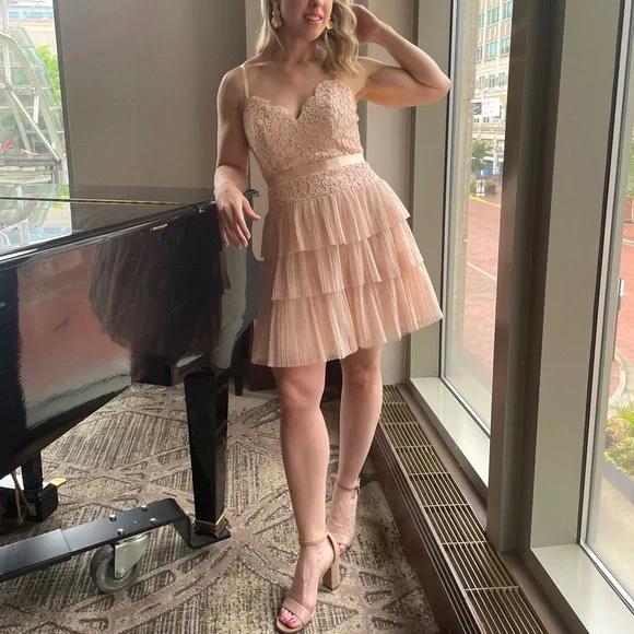 BCBG Champagne Pink Lace Tulle Cocktail Dress Sz 4 - Picture 7 of 7